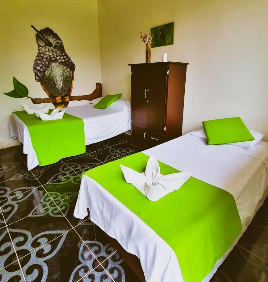 Ecohotel Colibri Salento Luna Park Екстериор снимка