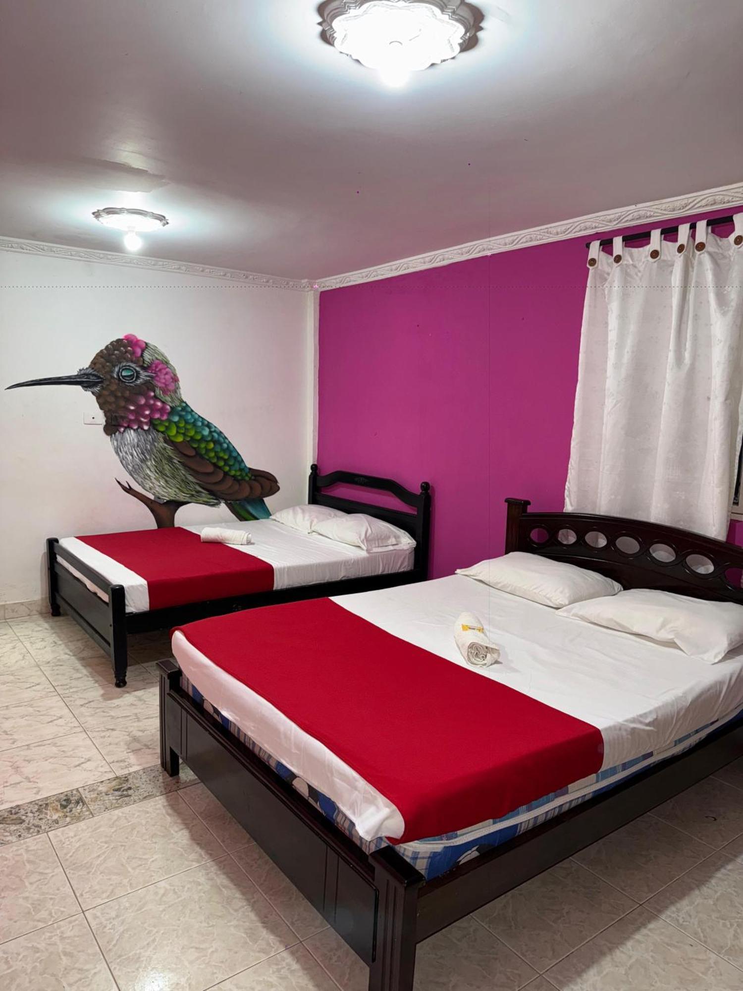 Ecohotel Colibri Salento Luna Park Екстериор снимка