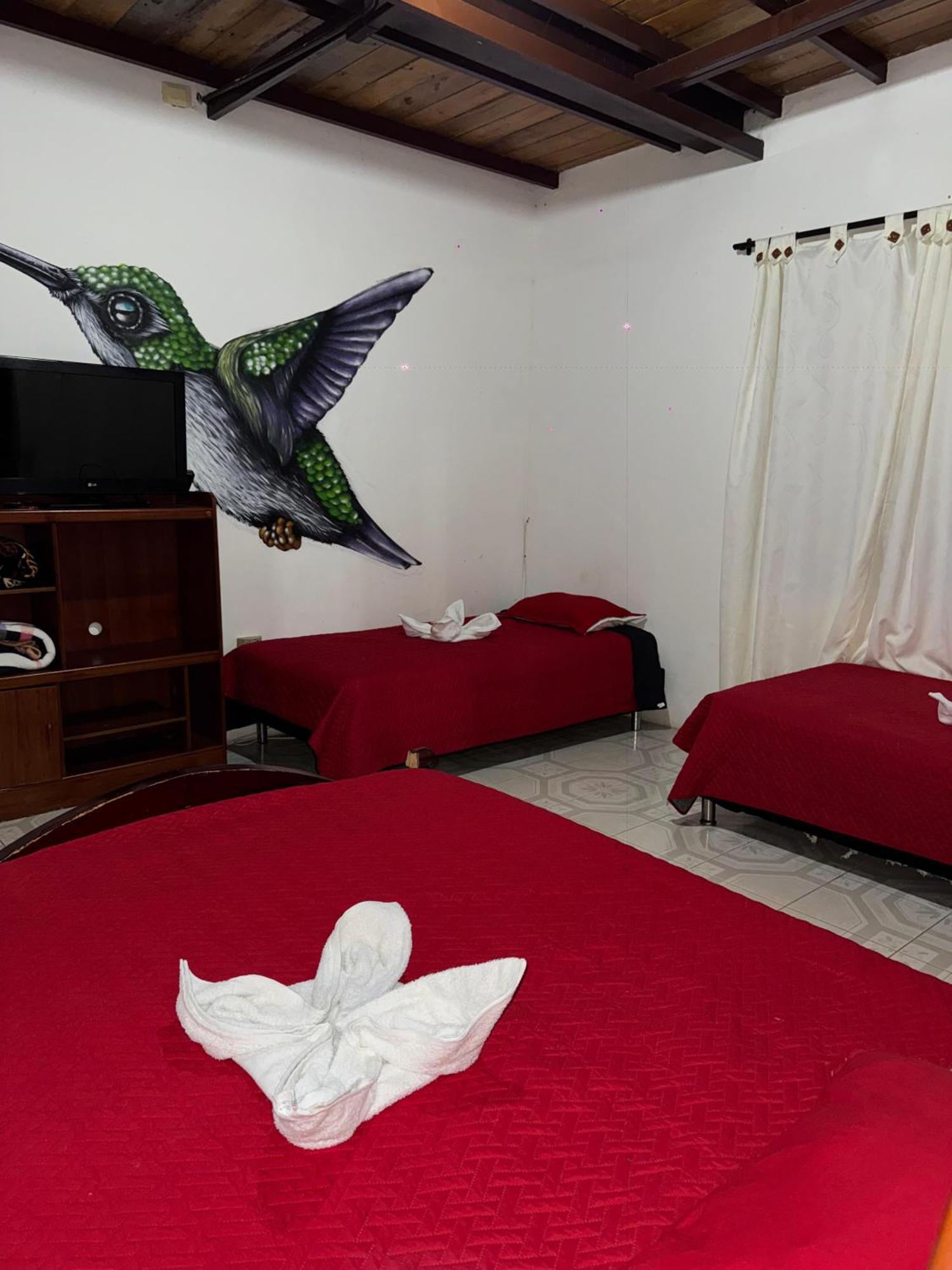 Ecohotel Colibri Salento Luna Park Екстериор снимка