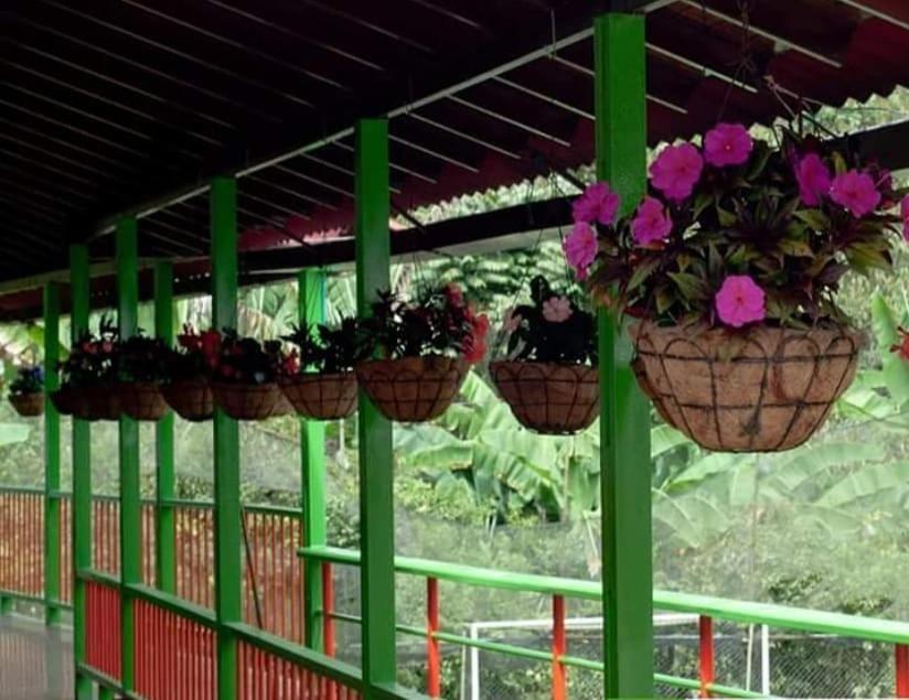Ecohotel Colibri Salento Luna Park Екстериор снимка
